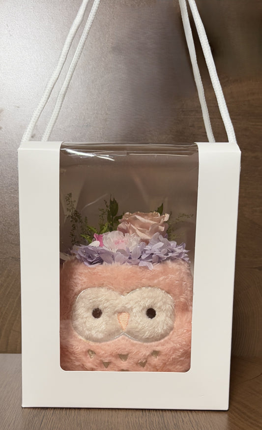 Cozy Owl Flower Pot III with Gift Box-Pink