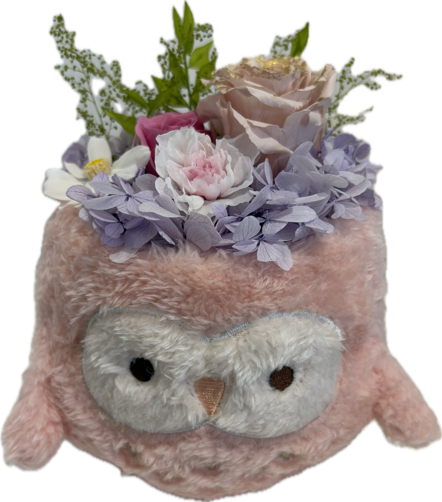 Cozy Owl Flower Pot III with Gift Box-Pink