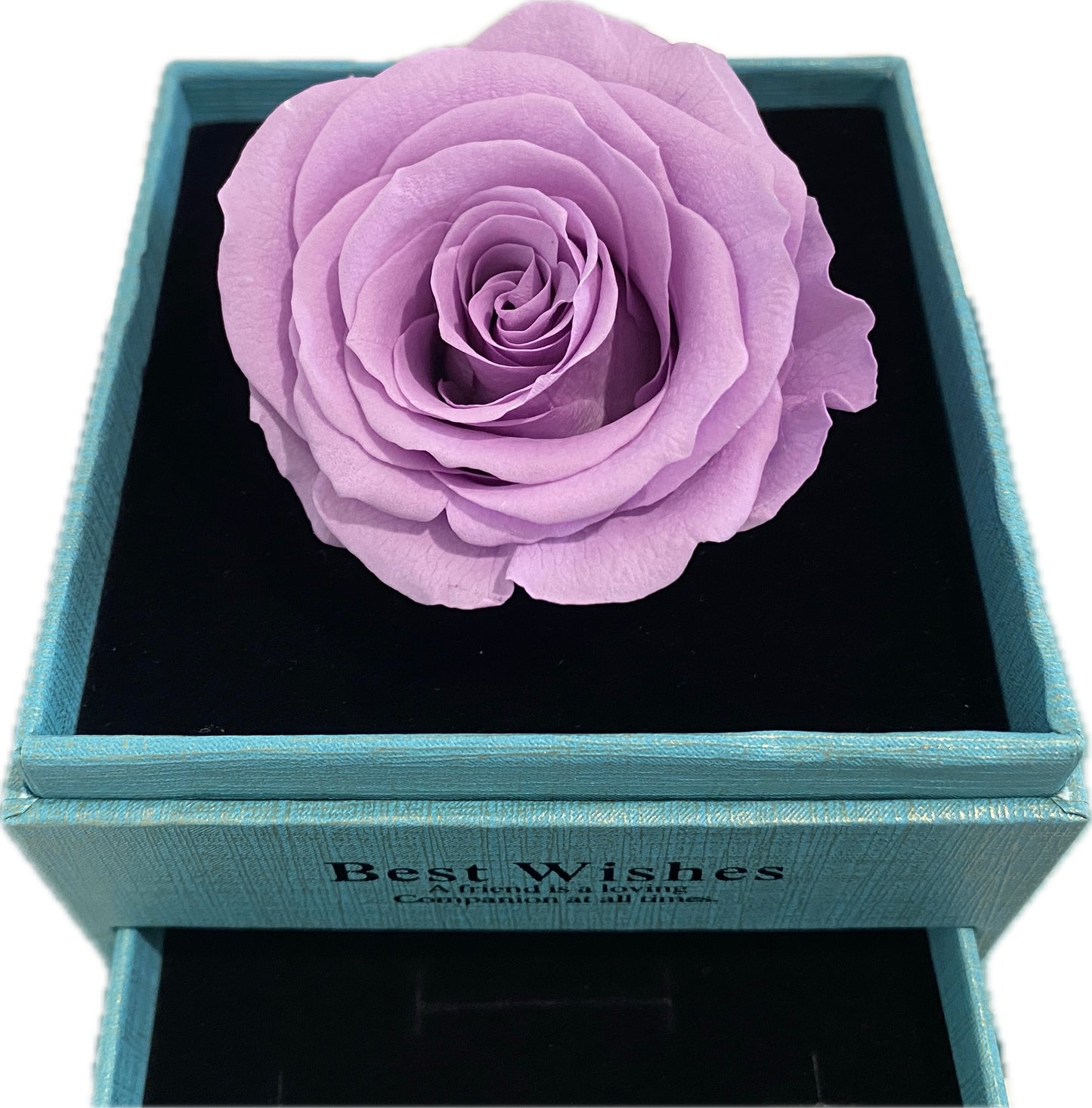 Preserved Loving Flower Box with Light Purple Rose (size L)