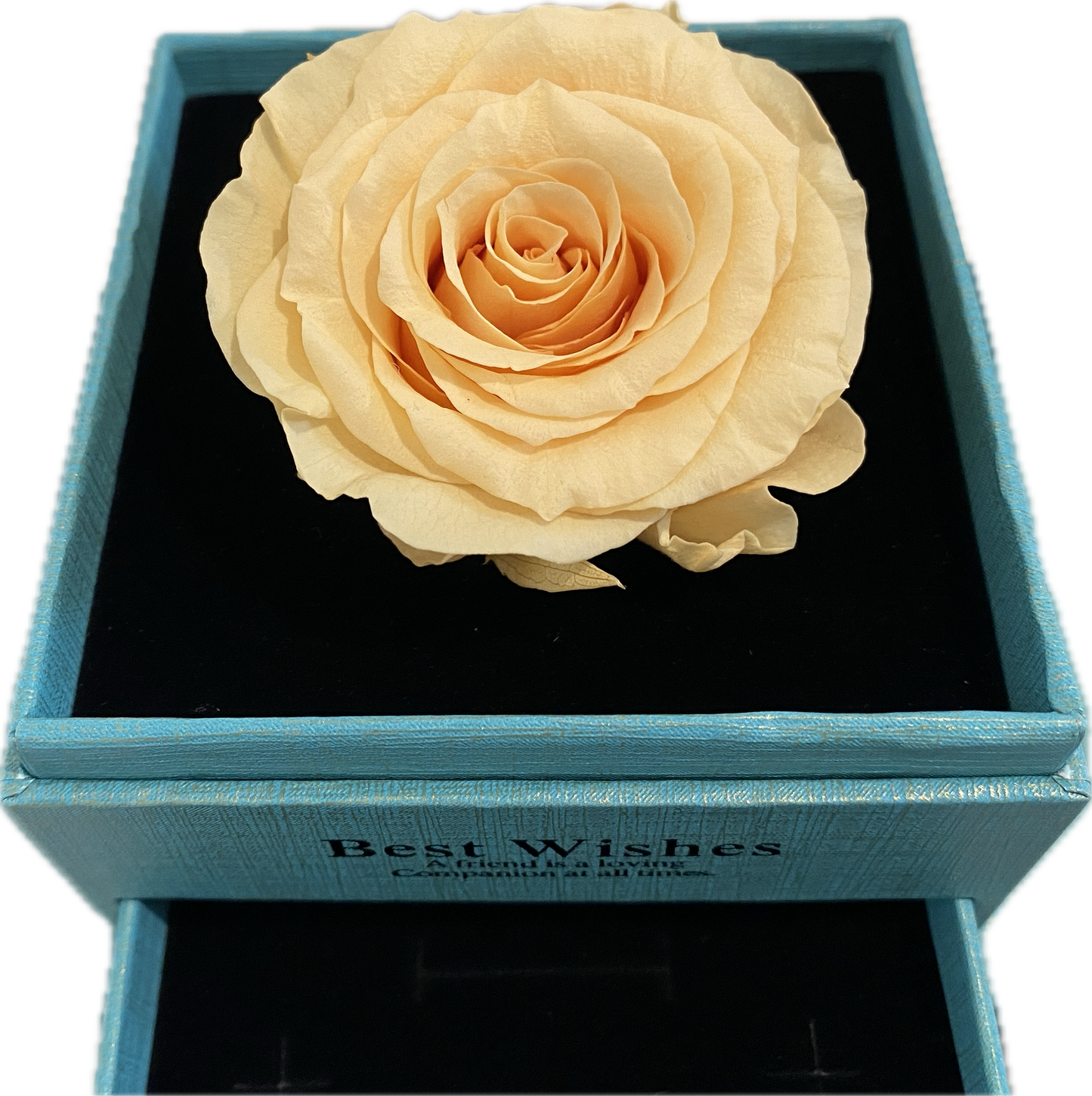 Loving Flower Box(LB)with Morning Yellow Rose(size L)