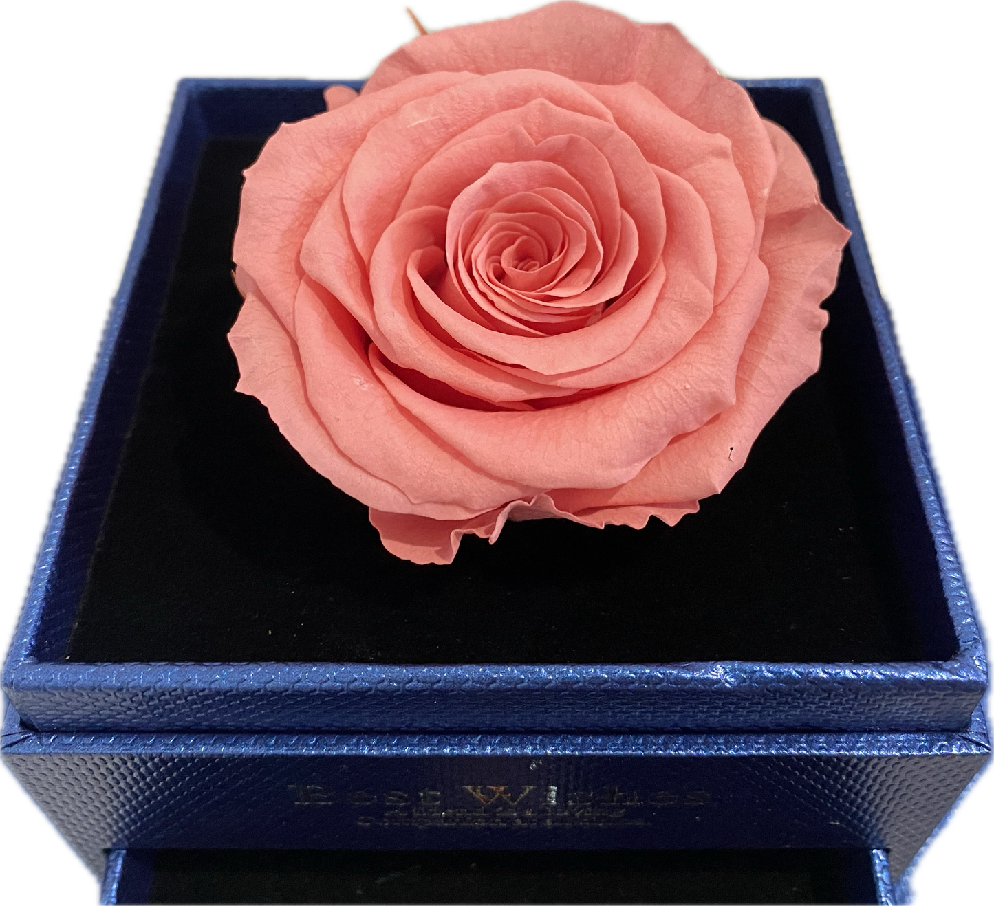 Preserved Loving Flower Box(Navy)- Candy Pink Rose(Size L)