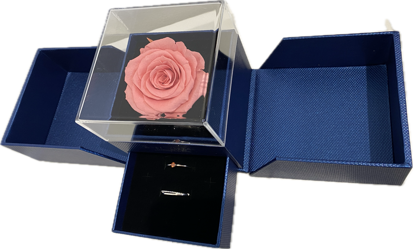 Preserved Loving Flower Box(Navy)- Candy Pink Rose(Size L)