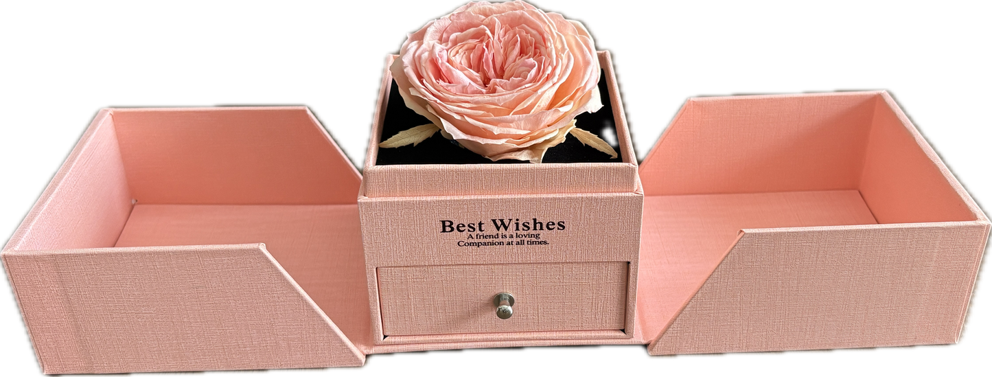 Preserved Flower Jewellery box— Pink Garden Rose (Size XL)