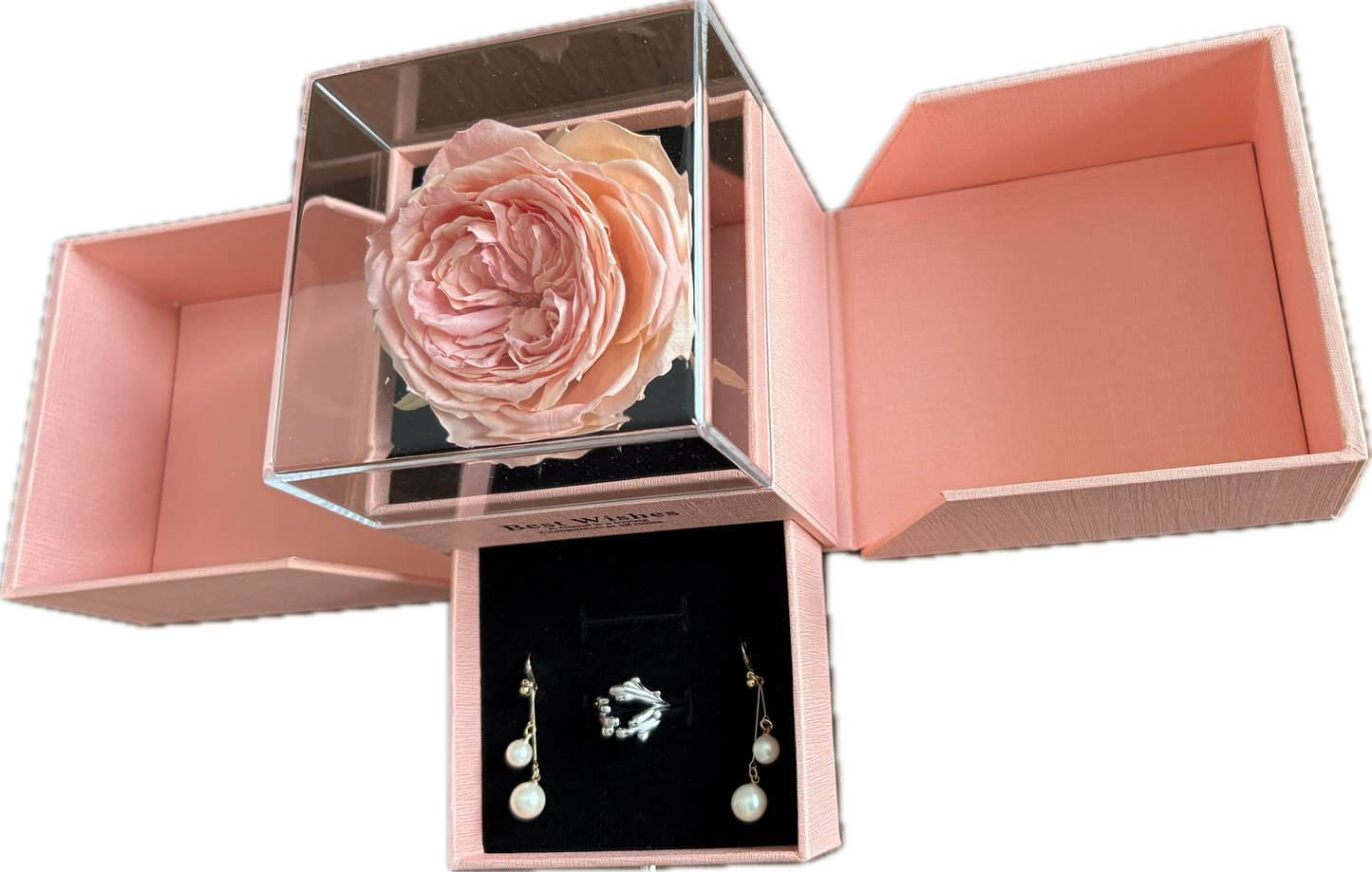 Preserved Flower Jewellery box— Pink Garden Rose (Size XL)