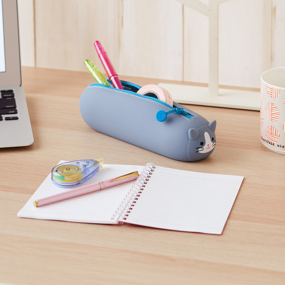 Lying Pen case