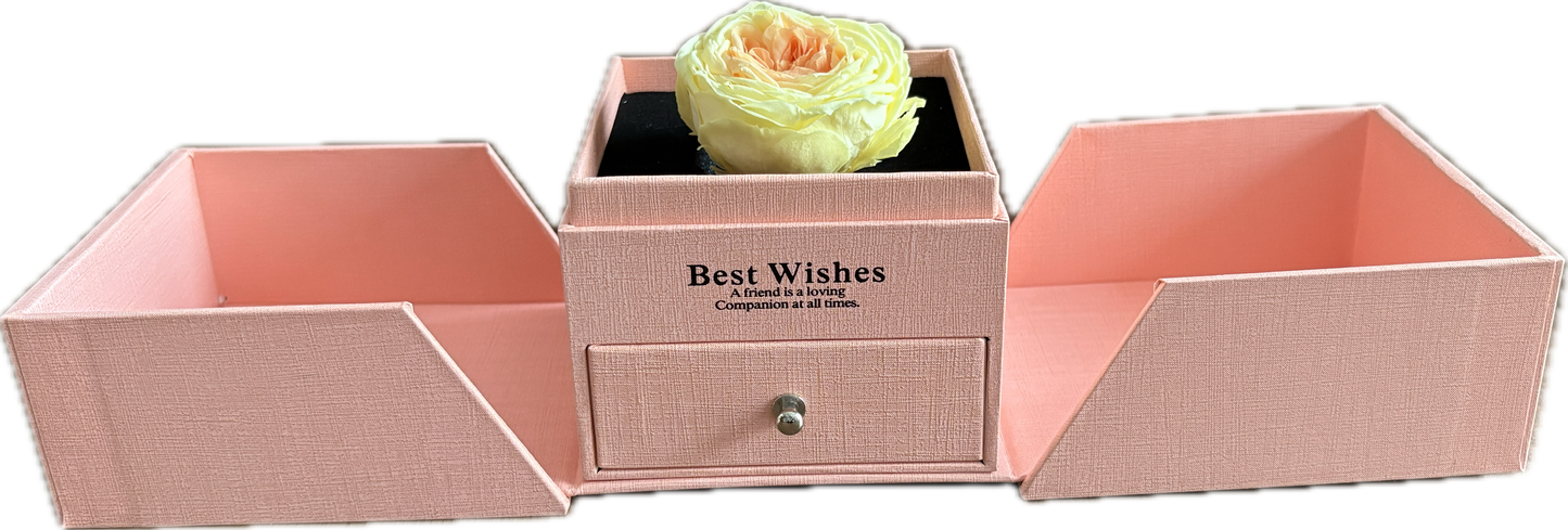 Preserved Loving Flower Box— Morning Yellow & Orange Garden Rose (Size M)