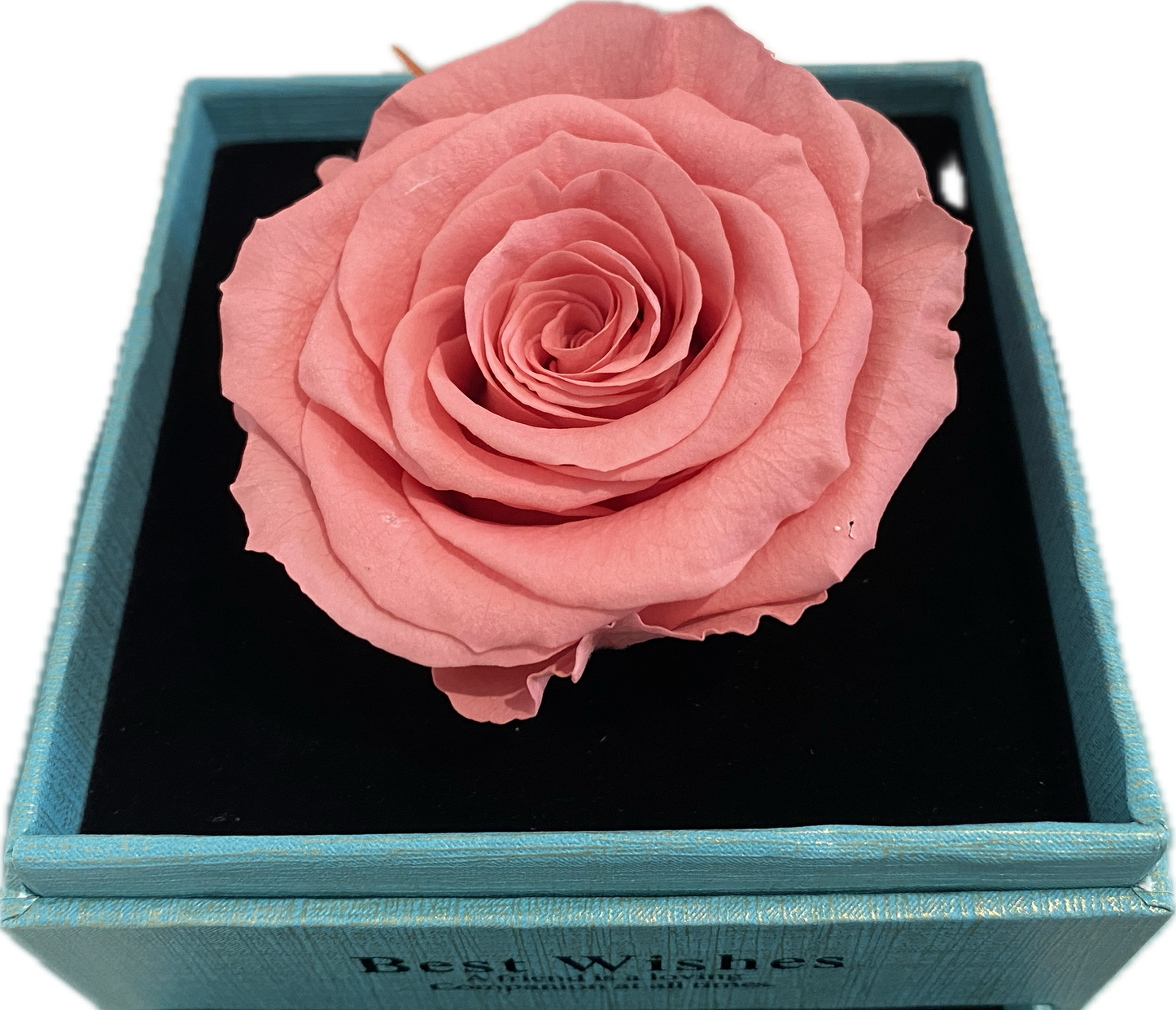 Preserved Loving Flower Box-Candy Pink Rose(Size L)