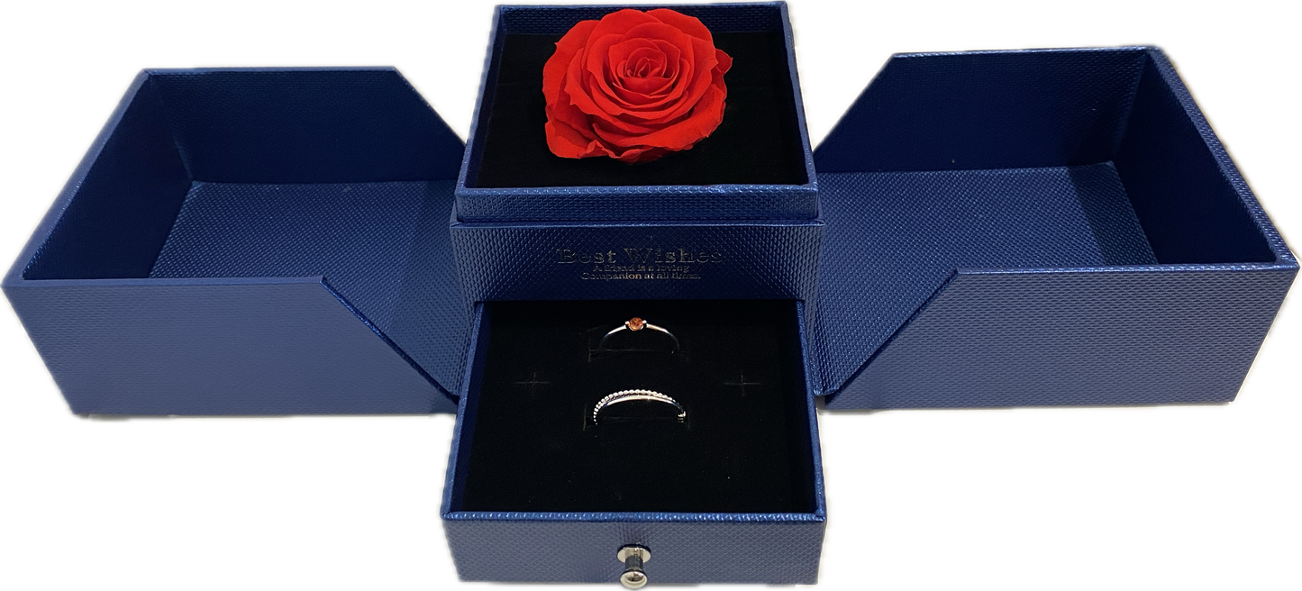 Preserved Loving Flower Box(Navy)-Red Rose (Size M)