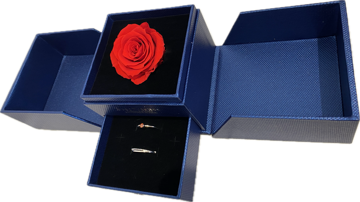Preserved Loving Flower Box(Navy)-Red Rose (Size M)