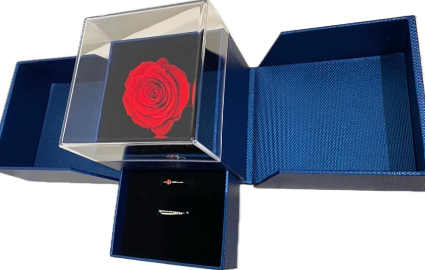Preserved Loving Flower Box(Navy)-Red Rose (Size M)