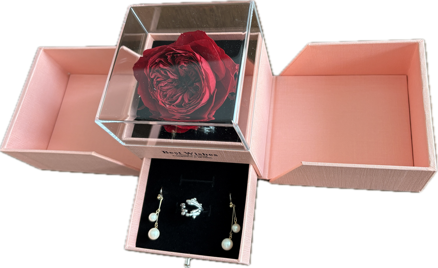 Preserved Flower Jewellery Box— Wine Red Garden Rose (Size XL)