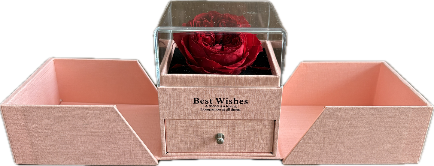 Preserved Flower Jewellery Box— Wine Red Garden Rose (Size XL)