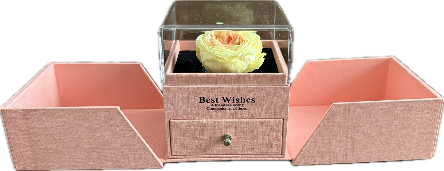 Preserved Loving Flower Box— Morning Yellow & Orange Garden Rose (Size M)