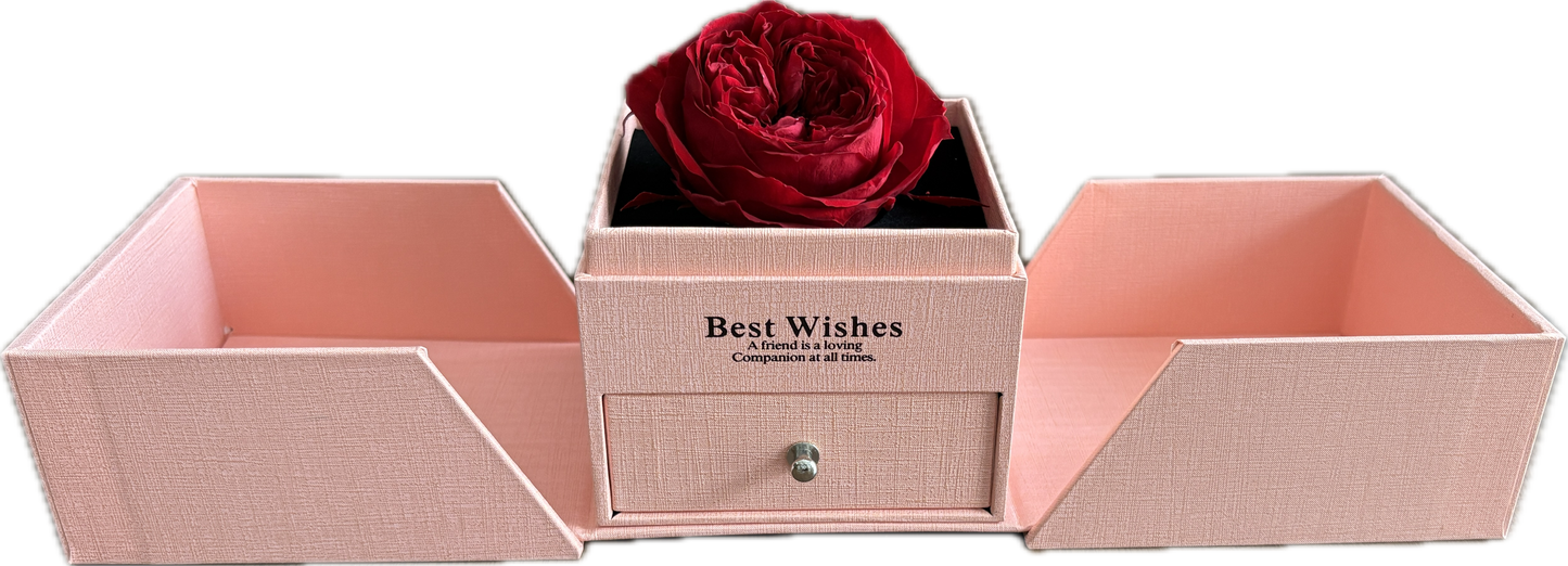 Preserved Flower Jewellery Box— Wine Red Garden Rose (Size XL)